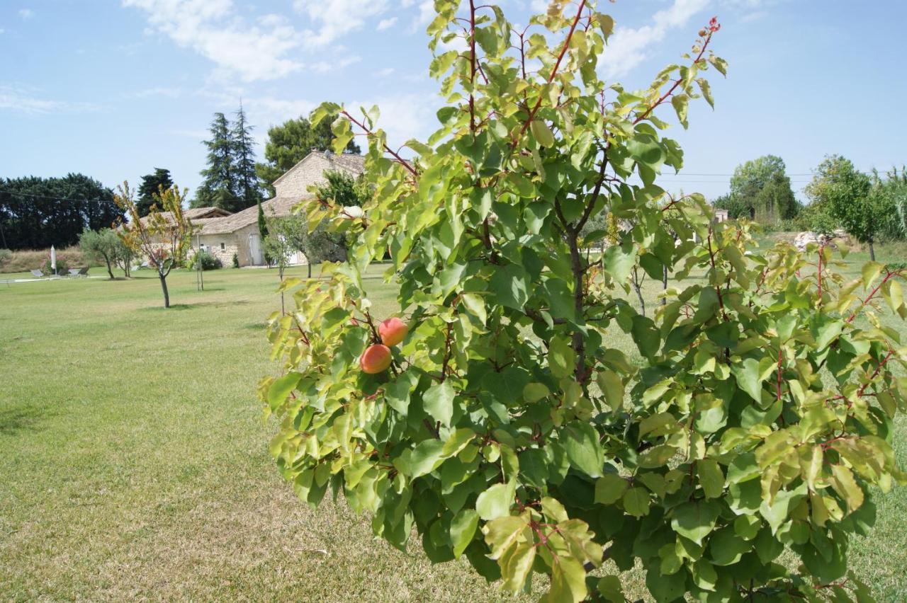 B&B Dans Mas En Pierres Robion en Luberon Екстер'єр фото